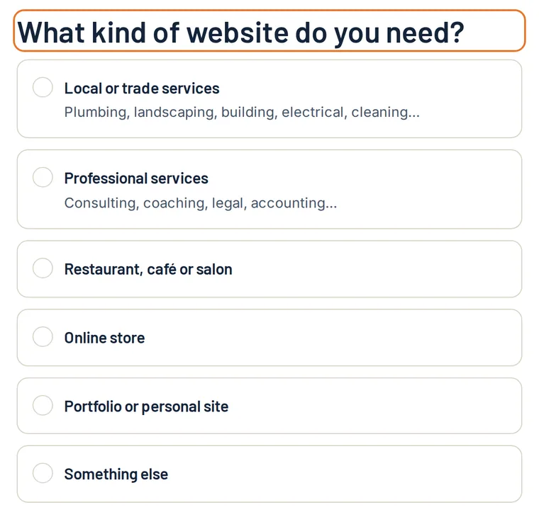 The first question of the TrueBuilt form: what kind of website do you need